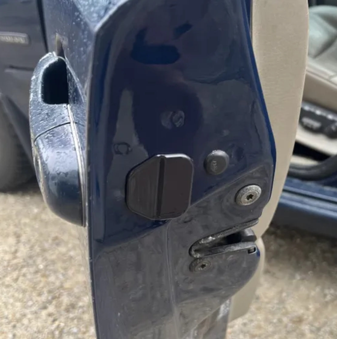 Volvo P80 Door Plug PN 6806030 (Digital Only)
